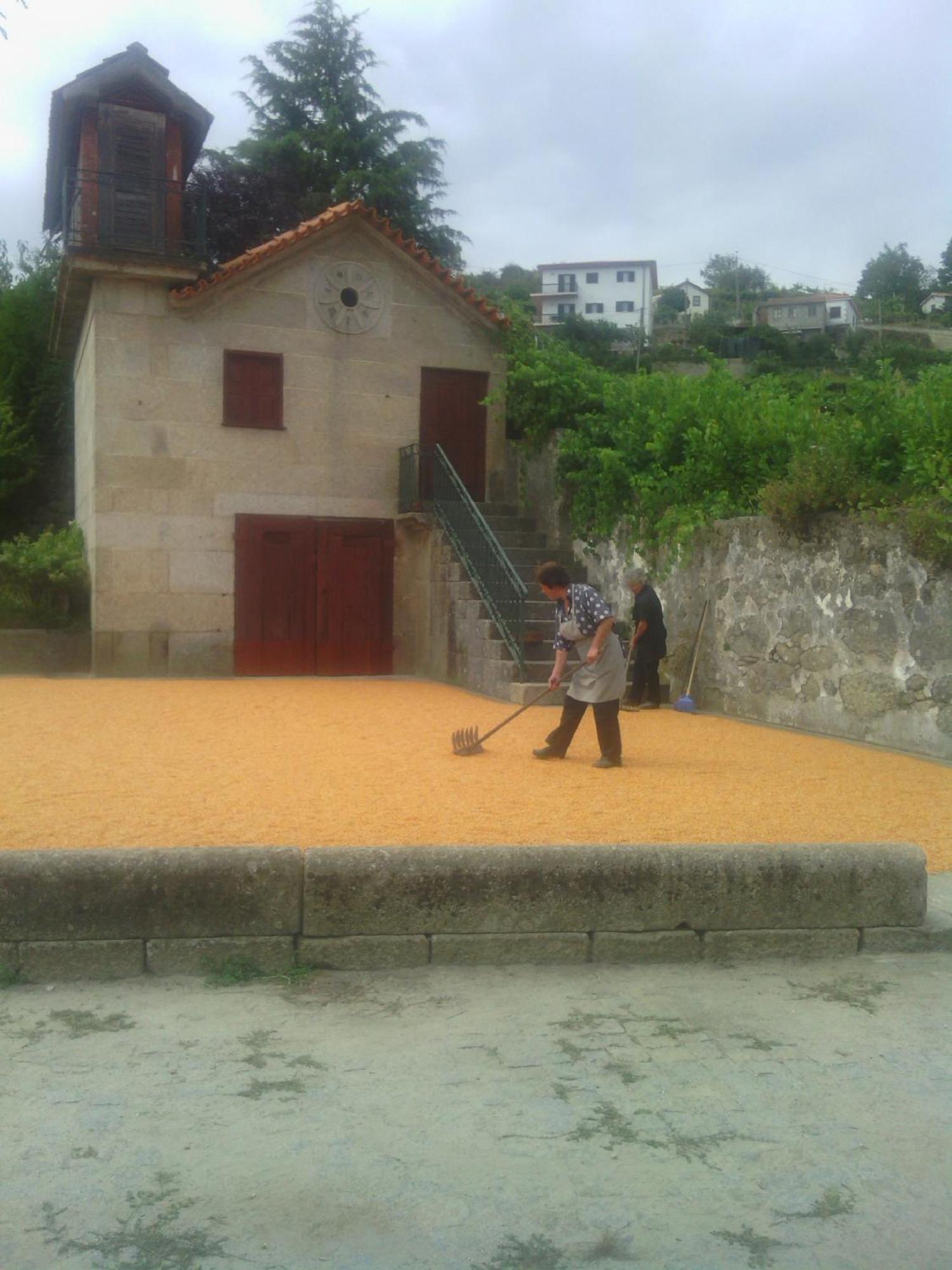 Quinta Da Casa Grande Pinheiro Guest House Baiao Exterior photo