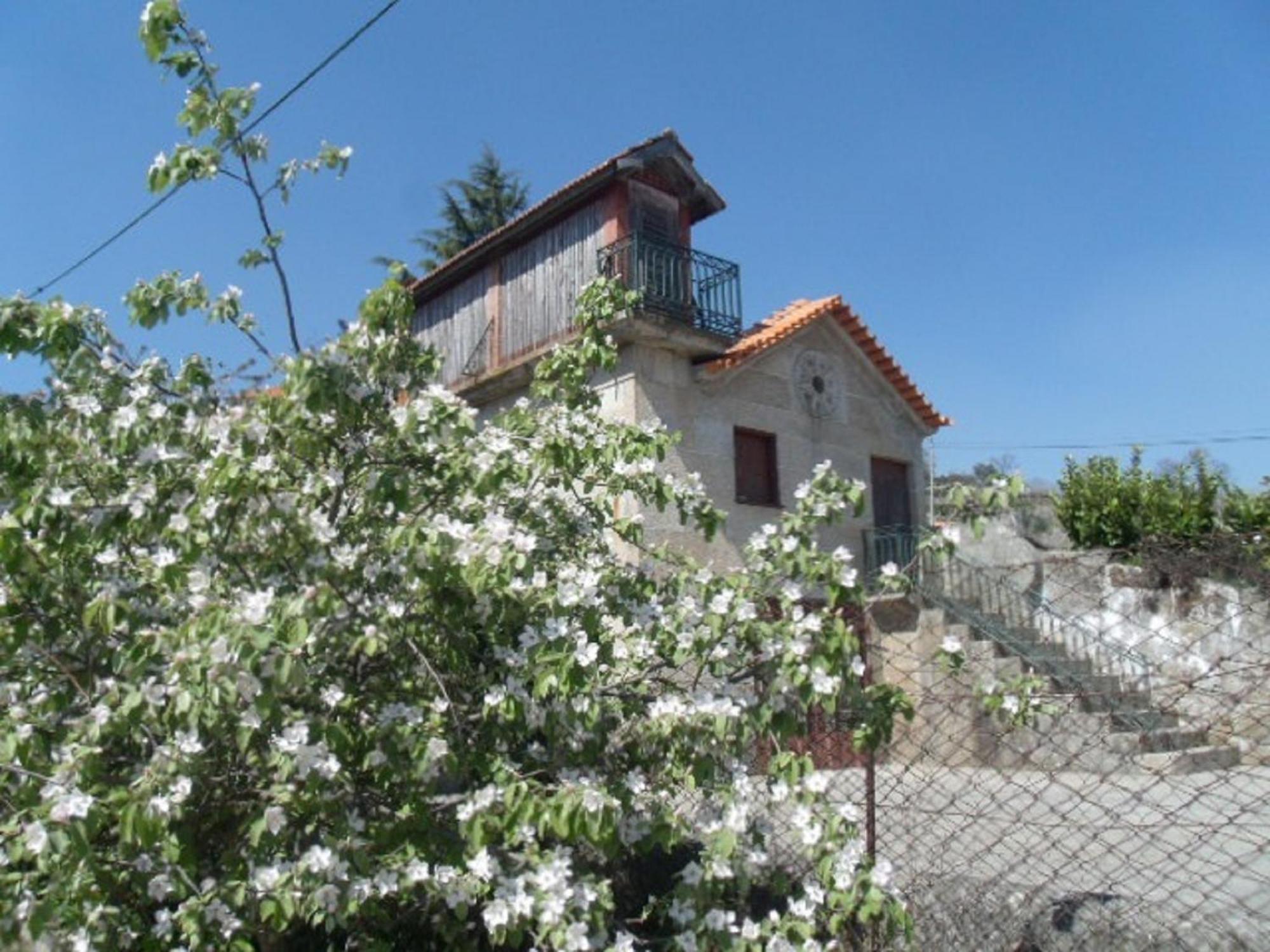 Quinta Da Casa Grande Pinheiro Guest House Baiao Exterior photo